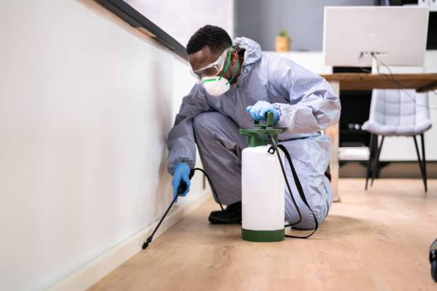 Best Bed Bug Extermination  in Bradley, IL